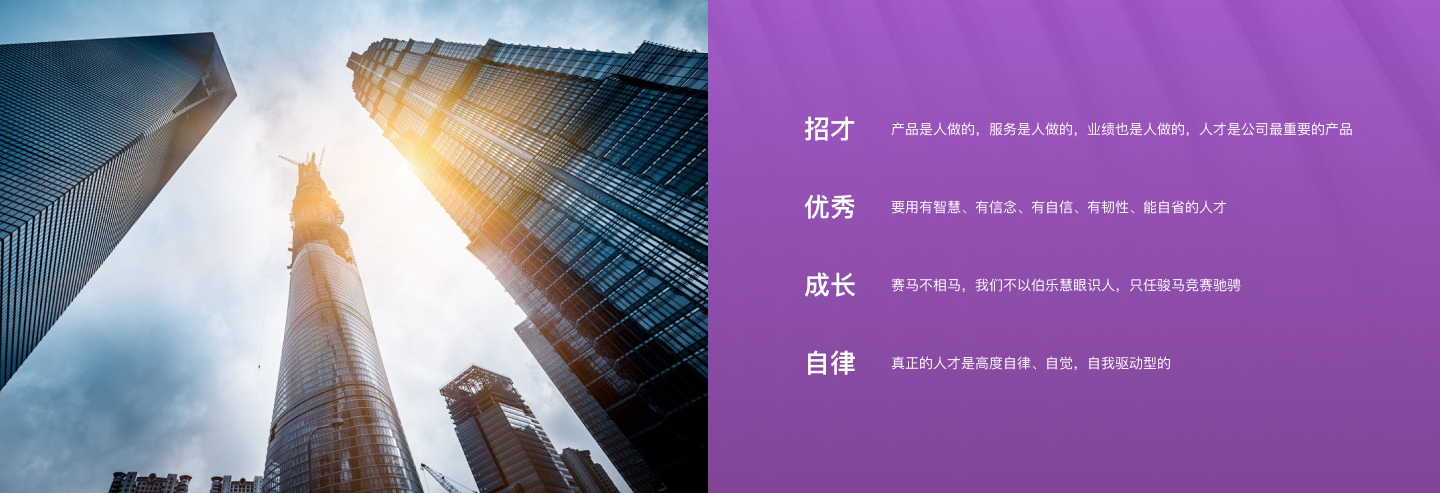 嵘智的人才观：招才、优秀、成长、自律